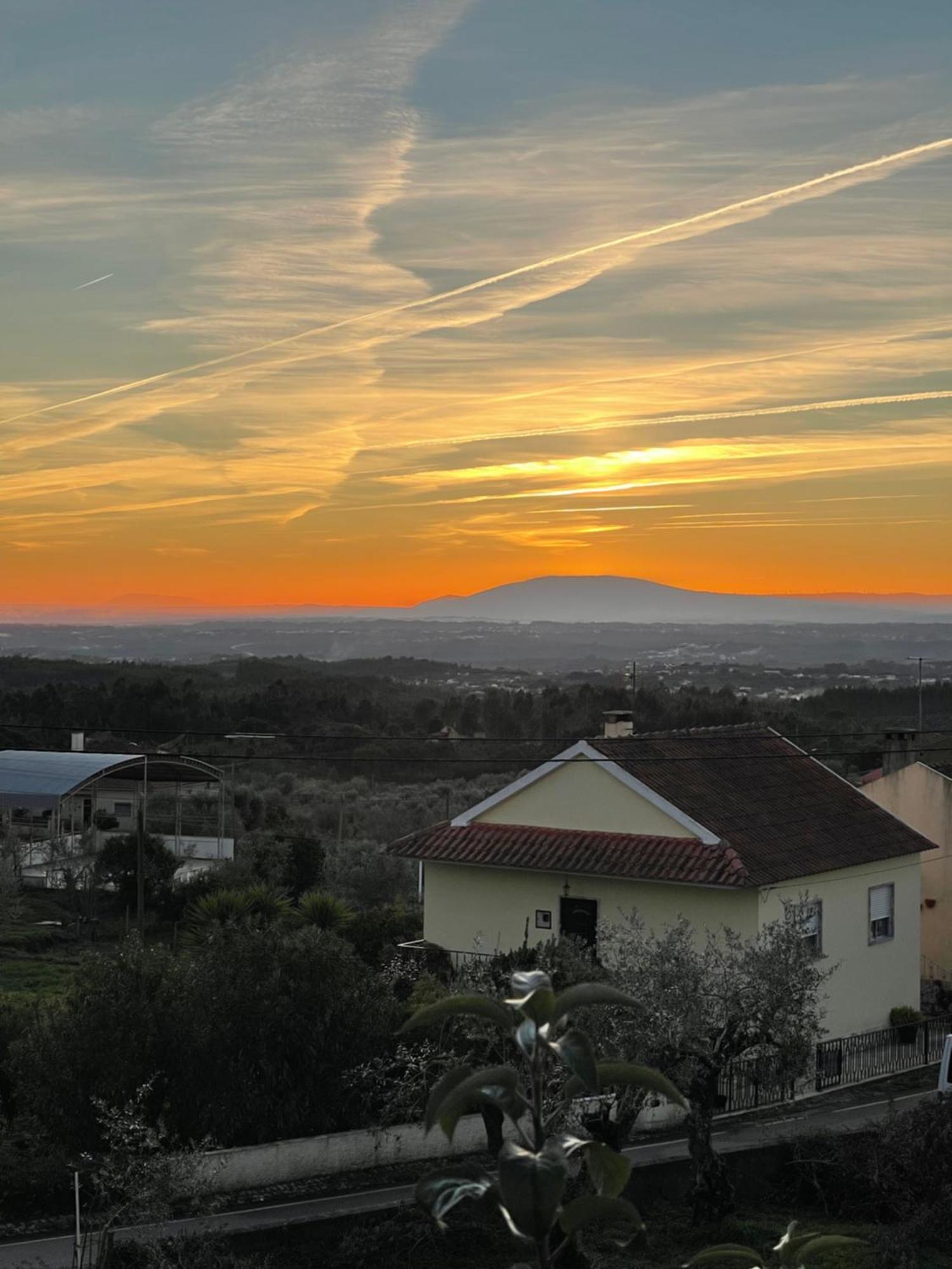 Quinta Jose&Maria Quartos Ferreira do Zêzere Екстериор снимка