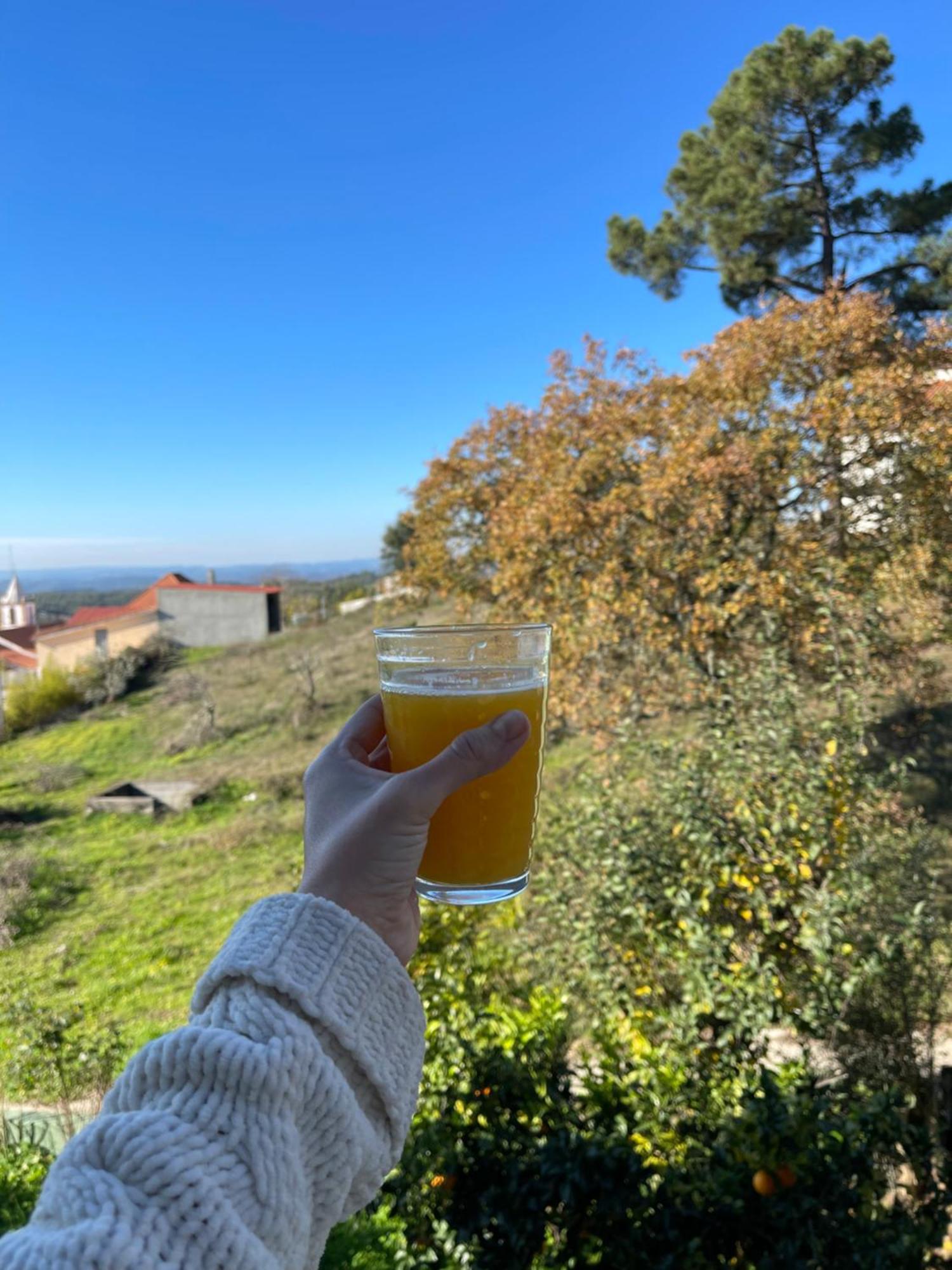 Quinta Jose&Maria Quartos Ferreira do Zêzere Екстериор снимка